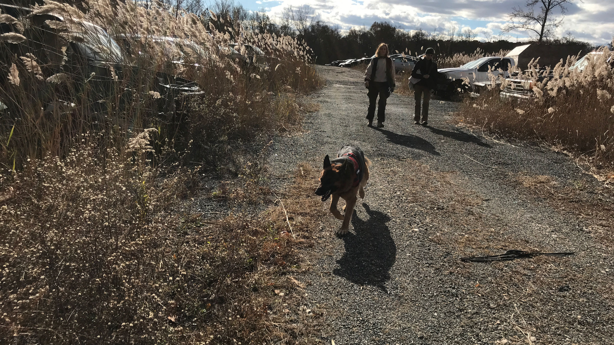 Training at White Marsh